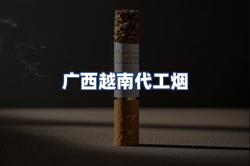 广西越南代工烟